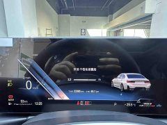 BMW 3 Series 320Li M Sport Package - ფოტო 13
