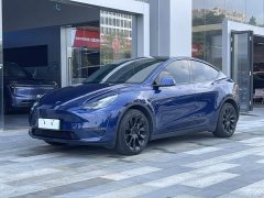 Tesla Model Y Long Range All-Wheel Drive - ფოტო 15