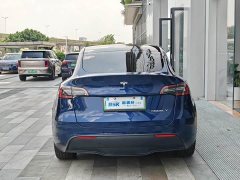 Tesla Model Y Long Range All-Wheel Drive - ფოტო 4