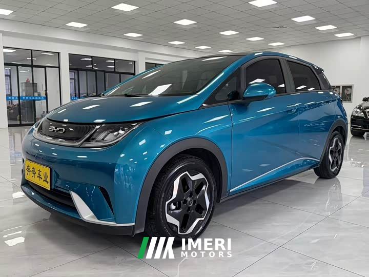BYD Dolphin 405km Fashion Edition - ავტომობილი ჩინეთიდან