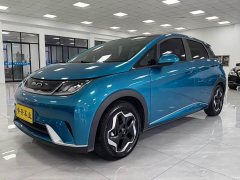 BYD Dolphin 405km Fashion Edition - ფოტო 1