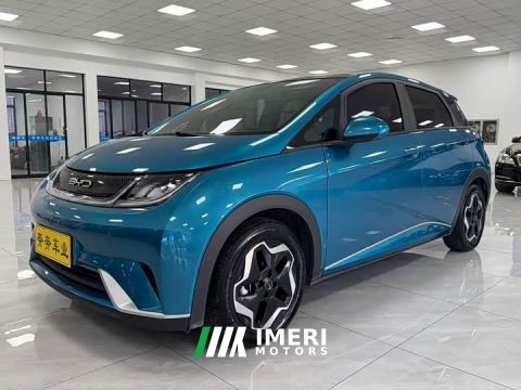 2022 BYD Dolphin 405km Fashion Edition