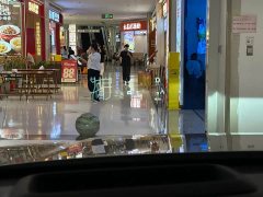Li Auto L6 Max - ფოტო 20
