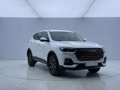 Haval H6 National Trend Edition 1.5T Automatic Urban Version - ფოტო 3