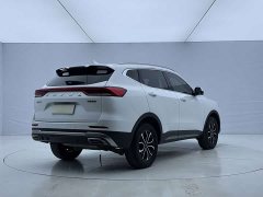 Haval H6 National Trend Edition 1.5T Automatic Urban Version - ფოტო 4