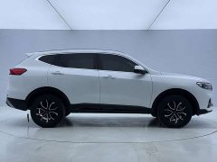 Haval H6 National Trend Edition 1.5T Automatic Urban Version - ფოტო 7