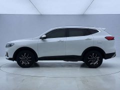 Haval H6 National Trend Edition 1.5T Automatic Urban Version - ფოტო 9