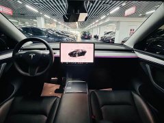 Tesla Model Y Rear-Wheel Drive - ფოტო 8