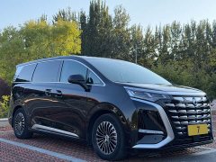 Denza BYD Denza D9 2022 DM-i 970 AWD Premium Edition - ფოტო 8