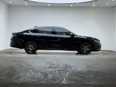 Volkswagen Magotan 380TSI DSG Premium Edition - ფოტო 4