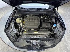 Volkswagen Magotan 380TSI DSG Premium Edition - ფოტო 7