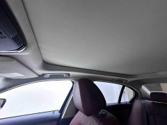 BMW 3 Series 320Li M Sport Package - ფოტო 17