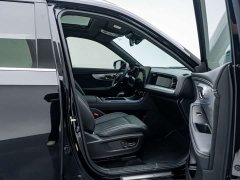 GAC Aion GS8 Dual Engine 2.0T M Two-Wheel Drive Luxury Edition (7-Seater) - ფოტო 10