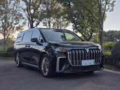 Voyah Dream PHEV Extended Range Luxury Edition - ფოტო 3