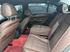 BMW 5 Series 530Li Leading Edition Luxury Package - ფოტო 14
