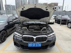 BMW 5 Series 530Li Leading Edition Luxury Package - ფოტო 17