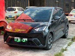 BYD Seagull Glory Edition 405km Flying Edition - ფოტო 1