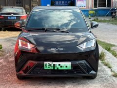 BYD Seagull Glory Edition 405km Flying Edition - ფოტო 2