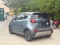 Chery Ant Sweet Pink Half-Sugar Phosphate Iron Lithium 30kW 301km - ფოტო 4