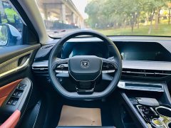 Changan Eado 2023 Enjoy Plus Blue Whale NE 1.4T GDI DCT Luxury Edition - ფოტო 13