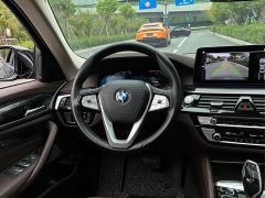 BMW 5 Series Facelift 525Li Luxury Package - ფოტო 17