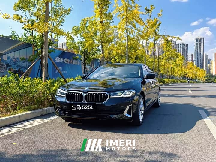 BMW 5 Series 525Li Luxury Package