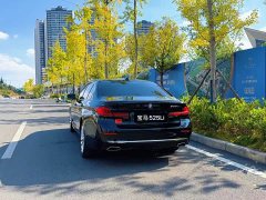 BMW 5 Series 525Li Luxury Package - ფოტო 7