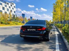 BMW 5 Series 525Li Luxury Package - ფოტო 9