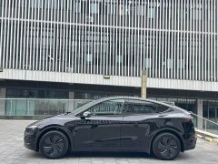 Tesla Model Y Rear-Wheel Drive - ფოტო 3