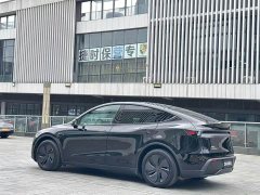 Tesla Model Y Rear-Wheel Drive - ფოტო 8