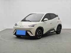 BYD Seagull 2023 Freedom Edition - ფოტო 1