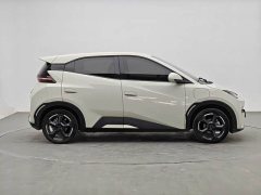 BYD Seagull 2023 Freedom Edition - ფოტო 3