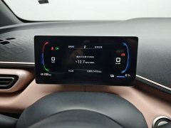BYD Seagull 2023 Freedom Edition - ფოტო 4