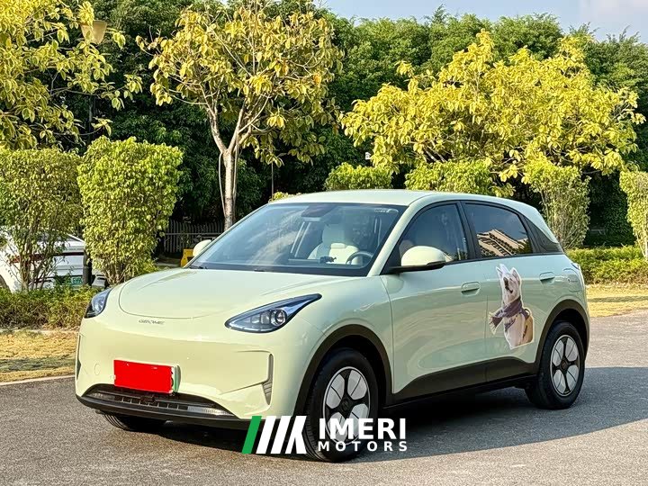 Geely Xing Yuan 310km Youth Edition - ავტომობილი ჩინეთიდან