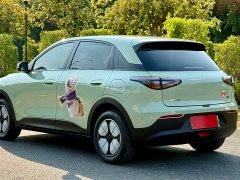 Geely Xing Yuan 310km Youth Edition - ფოტო 7