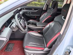 Jetour Jietu Dasheng 1.6T DCT King Pro - ფოტო 13