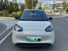 Wuling Binguo 410km Lingxi Premium Edition - ფოტო 1