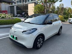 Wuling Binguo 410km Lingxi Premium Edition - ფოტო 2