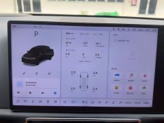 Li Auto L7 MAX - ფოტო 11