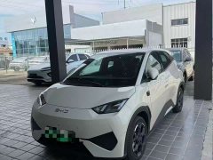 BYD Seagull Smart Drive 405km Flight Edition - ფოტო 3