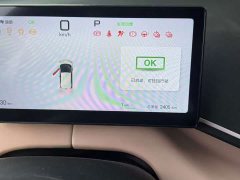 BYD Seagull Smart Drive 405km Flight Edition - ფოტო 5