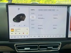 Li Auto L9 2022 Max - ფოტო 13