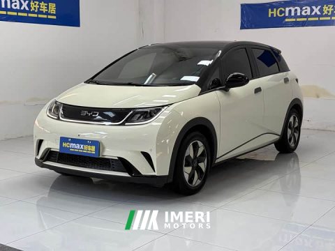 2024 BYD Dolphin Glory Edition 420km Fashion Version - ავტომობილი ჩინეთიდან