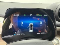 BYD Dolphin Glory Edition 420km Fashion Version - ფოტო 10