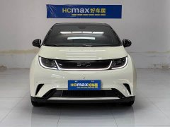 BYD Dolphin Glory Edition 420km Fashion Version - ფოტო 2
