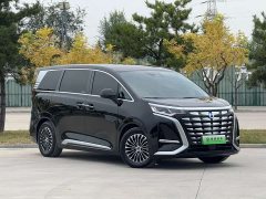 Denza BYD Denza D9 2024 DM-i 980 AWD Luxury - ფოტო 3