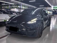 Tesla Model Y Standard Range RWD - ფოტო 1