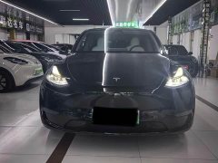 Tesla Model Y Standard Range RWD - ფოტო 2