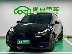 Tesla Model Y Long Range All-Wheel Drive - ფოტო 1