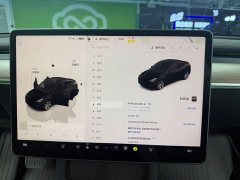 Tesla Model Y Long Range All-Wheel Drive - ფოტო 11